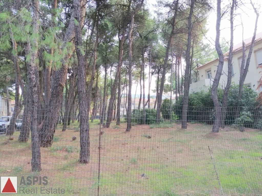 Οικόπεδο 352 τ.μ. προς πώληση, Άνοιξη