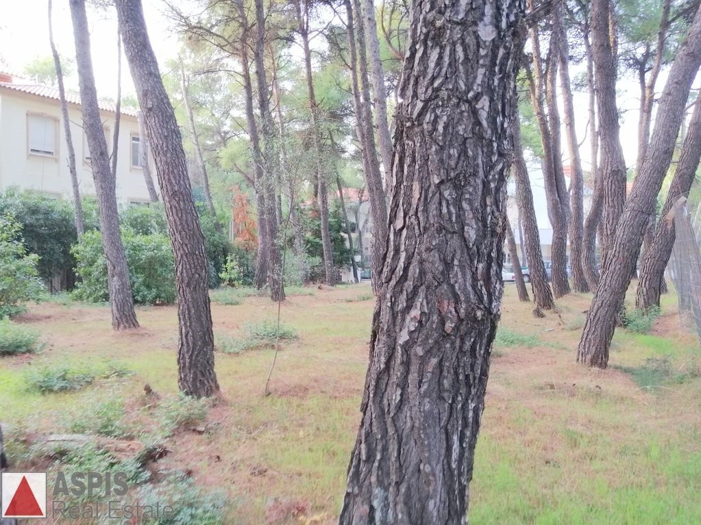 Οικόπεδο 352 τ.μ. προς πώληση, Άνοιξη