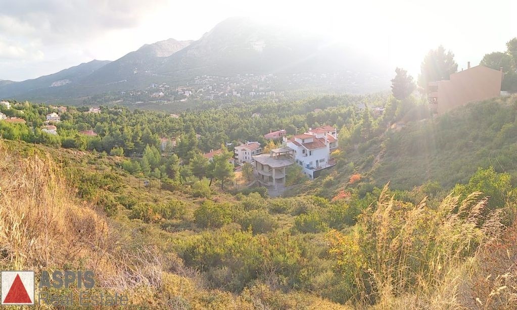 Οικόπεδο 786 τ.μ. προς πώληση, Διόνυσος