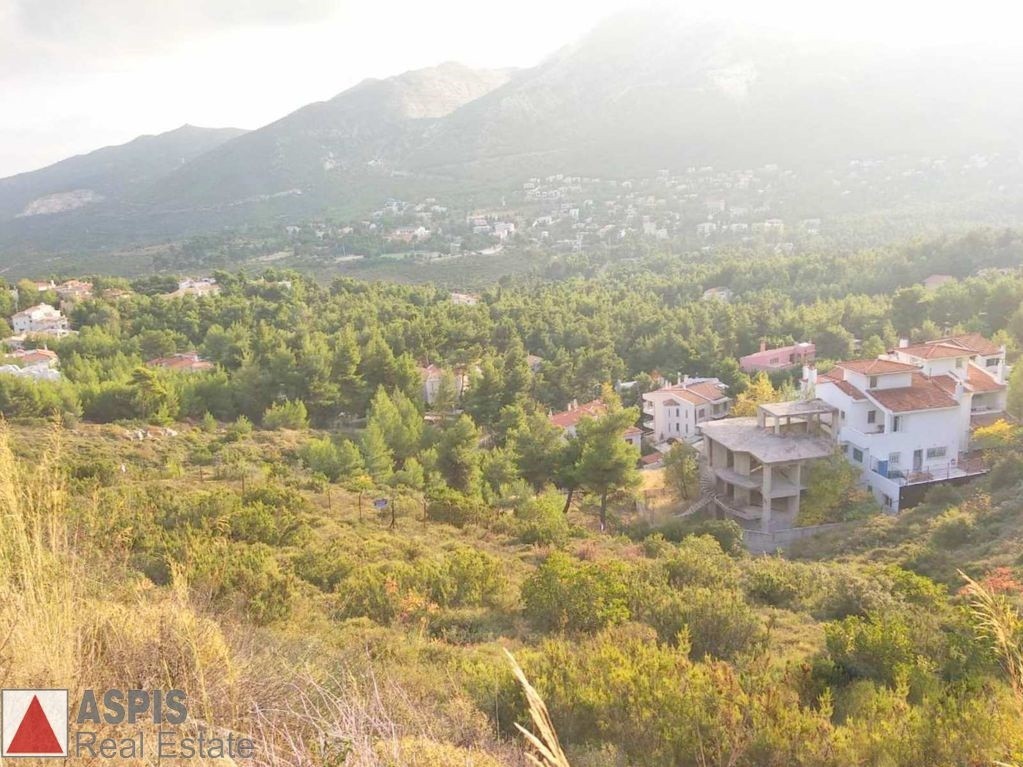 Οικόπεδο 786 τ.μ. προς πώληση, Διόνυσος