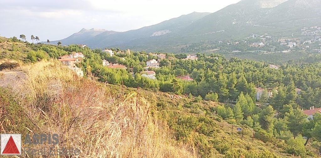 Οικόπεδο 786 τ.μ. προς πώληση, Διόνυσος