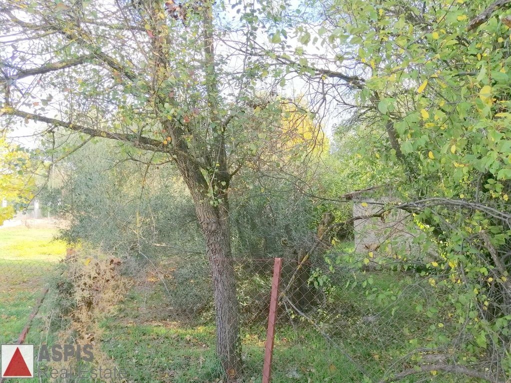 Οικόπεδο 1.500 τ.μ. προς πώληση, Άνοιξη
