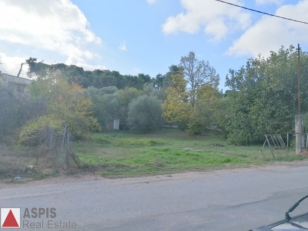 Οικόπεδο 1.500 τ.μ. προς πώληση, Άνοιξη