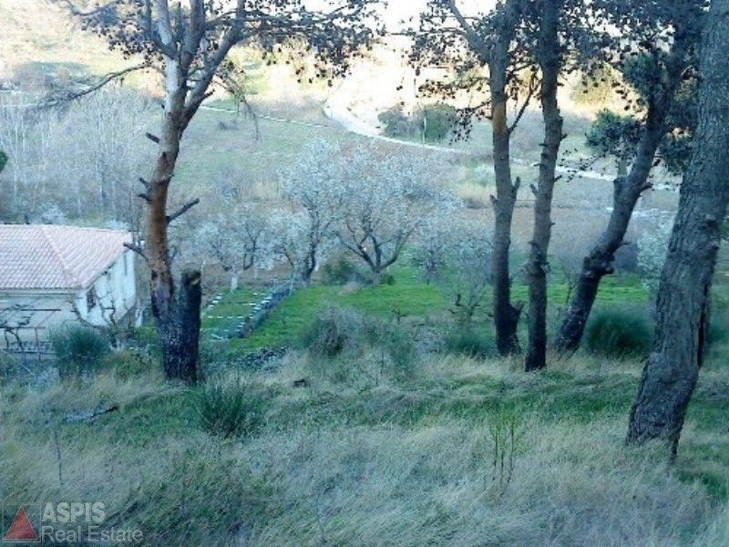 Οικόπεδο 5.140 τ.μ. προς πώληση, Βαρνάβας