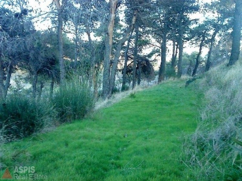 Οικόπεδο 5.140 τ.μ. προς πώληση, Βαρνάβας