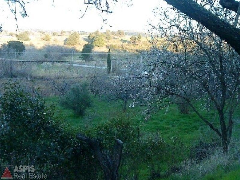 Οικόπεδο 5.140 τ.μ. προς πώληση, Βαρνάβας