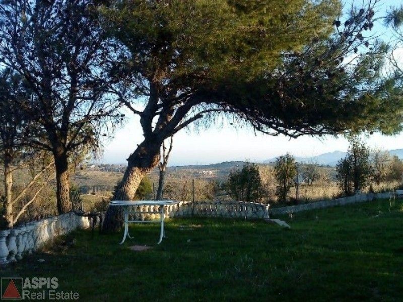 Οικόπεδο 5.140 τ.μ. προς πώληση, Βαρνάβας