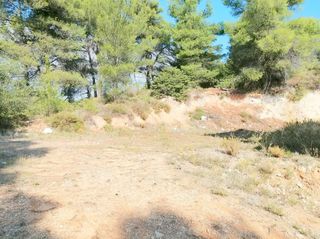 Συγκρότημα διαμερισμάτων 375 τ.μ. για πώληση, Αττική - Υπόλοιπο, Πολυδένδρι-thumb-10