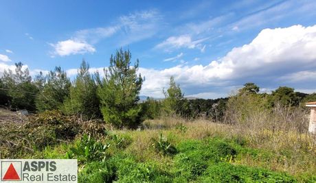 Οικόπεδο 1.900τ.μ. για πώληση-Άγιος στέφανος