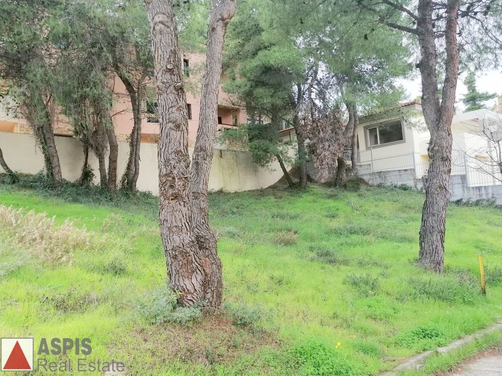 Οικόπεδο 420 τ.μ. προς πώληση, Άγιος Στέφανος