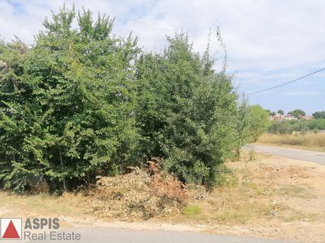 Οικόπεδο 1.000τ.μ. για πώληση-Άγιος στέφανος