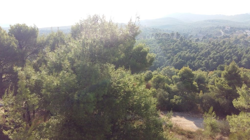 Οικόπεδο 1.648 τ.μ. προς πώληση, Σταμάτα