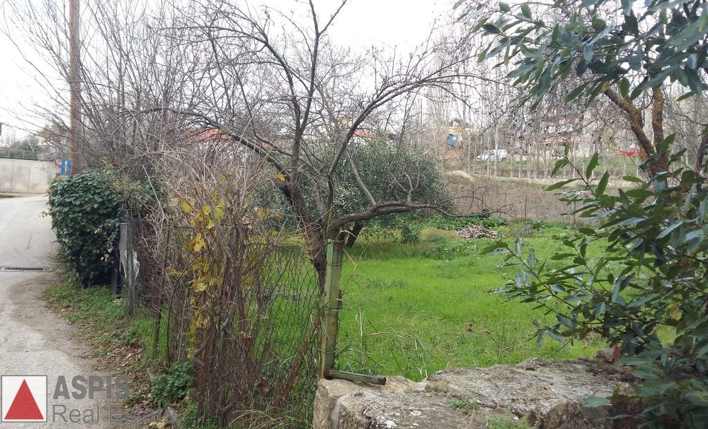 Οικόπεδο 782 τ.μ. προς πώληση, Καπανδρίτι Αττικής