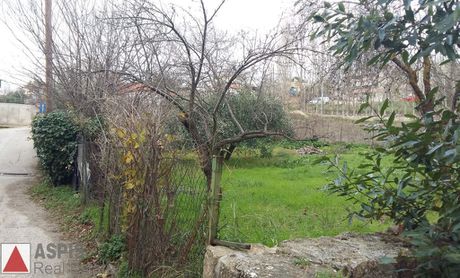 Οικόπεδο 782 τ.μ. για πώληση