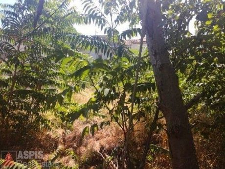 Land plot 1.218sqm for sale-Afidnes