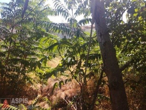 Οικόπεδο 1.218 τ.μ. για πώληση, Αττική - Υπόλοιπο, Αφίδνες