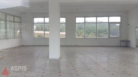 Store 470sqm for rent-Polidendri