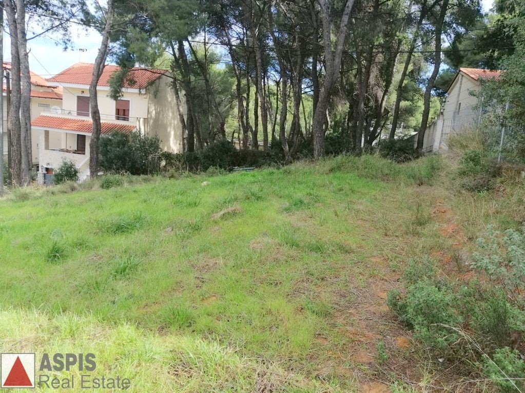 Οικόπεδο 375 τ.μ. προς πώληση, Άνοιξη