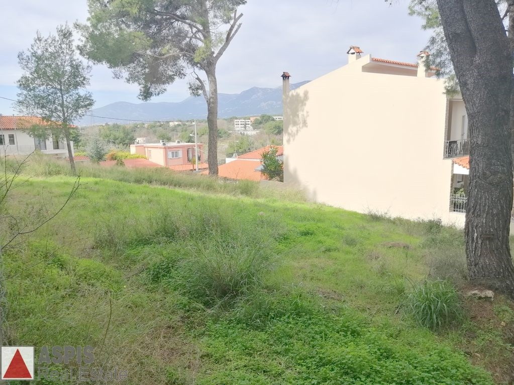 Οικόπεδο 375 τ.μ. προς πώληση, Άνοιξη