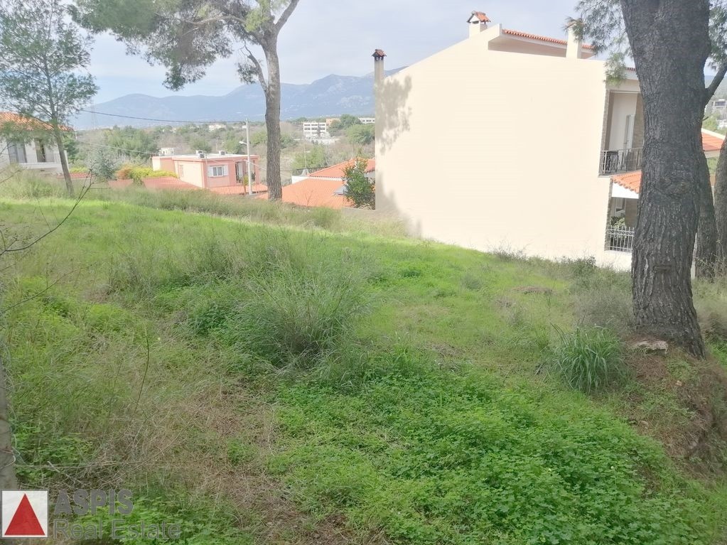 Οικόπεδο 375 τ.μ. προς πώληση, Άνοιξη
