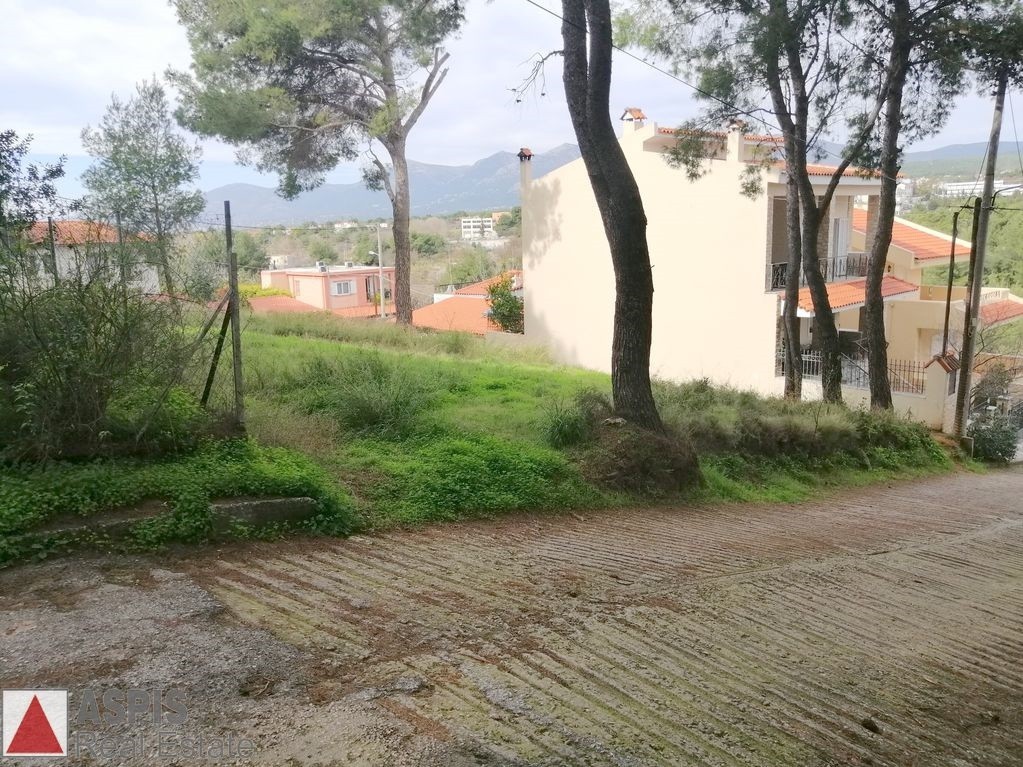 Οικόπεδο 375 τ.μ. προς πώληση, Άνοιξη