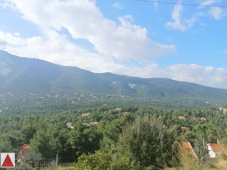 Land plot 1.593sqm for sale-Dionisos