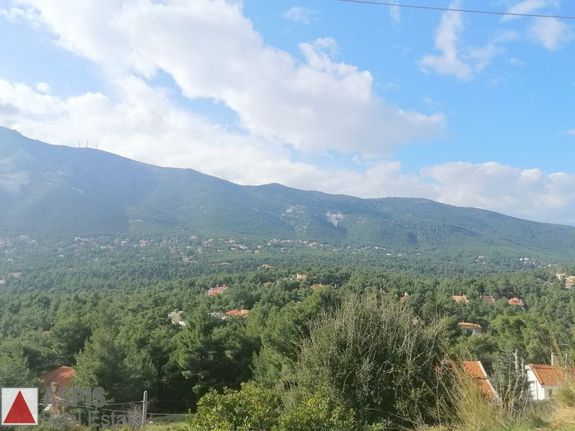 Οικόπεδο 1.593 τ.μ. για πώληση, Αθήνα - Βόρεια Προάστια, Διόνυσος
