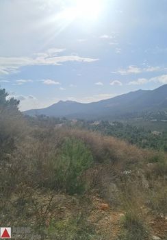 Land plot 782sqm for sale-Dionisos
