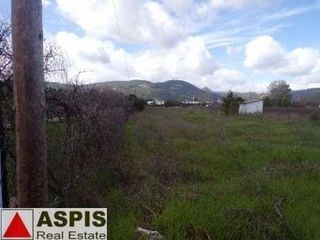 Αγροτεμάχια 25.000 τ.μ. για πώληση