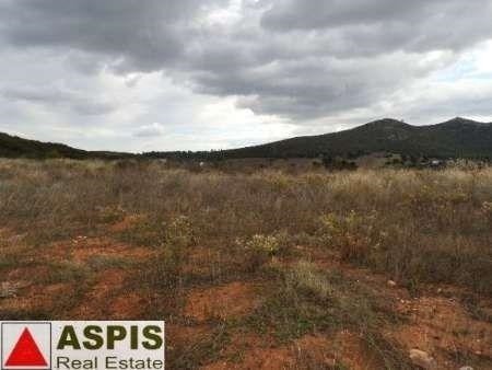Οικόπεδο 11.580 τ.μ. προς πώληση, Σταμάτα