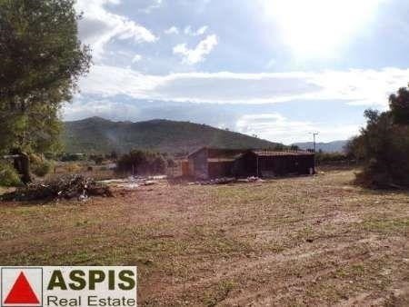 Οικόπεδο 11.580 τ.μ. προς πώληση, Σταμάτα