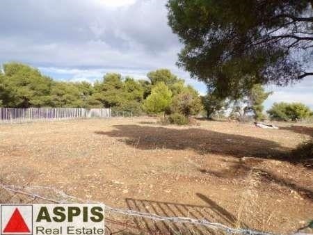 Οικόπεδο 3.500 τ.μ. προς πώληση, Σταμάτα