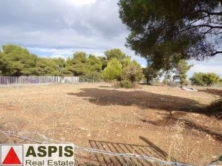 Οικόπεδο 3.500τ.μ. για πώληση-Σταμάτα
