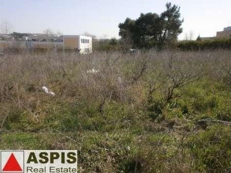 Οικόπεδο 4.000 τ.μ. προς πώληση, Κρυονέρι