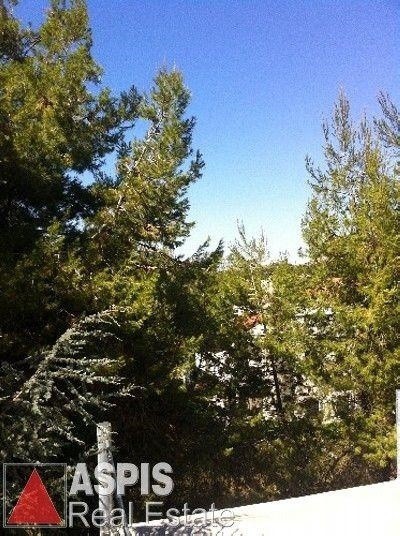 Μονοκατοικία 265 τ.μ. προς πώληση, Διόνυσος