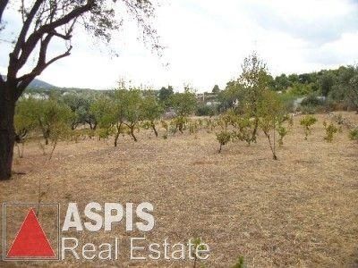 Μονοκατοικία 65τ.μ. για ενοικίαση-Σταμάτα