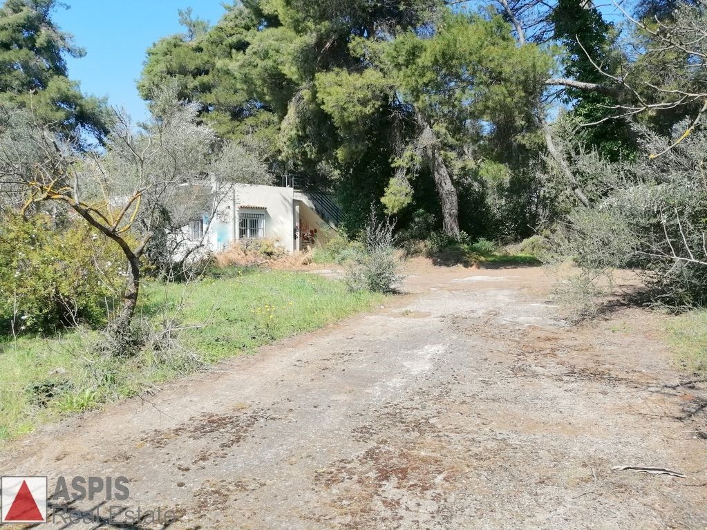Μονοκατοικία 86 τ.μ. προς πώληση, Άνοιξη