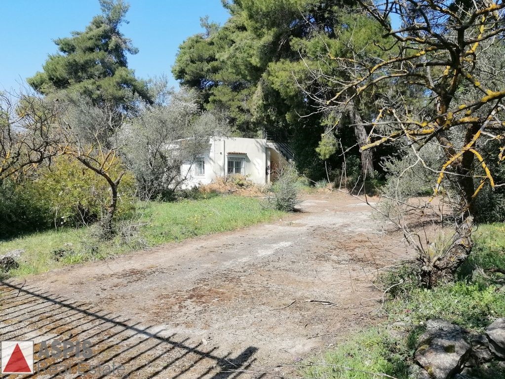 Μονοκατοικία 86 τ.μ. προς πώληση, Άνοιξη