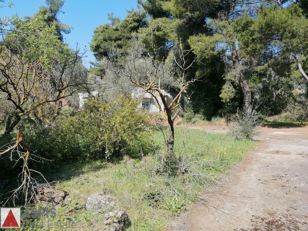 Μονοκατοικία 86 τ.μ. προς πώληση, Άνοιξη