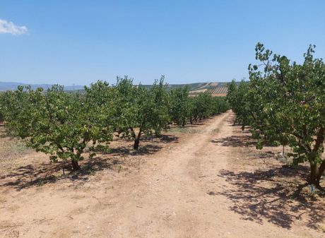 Parcel 11.909sqm for sale-Moudania