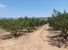 Parcel 11.909sqm for sale-Moudania