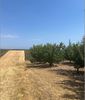 Parcel 8.989sqm for sale-Moudania