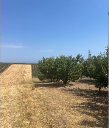 Αγροτεμάχια 8.989 τ.μ. για πώληση, Χαλκιδική, Μουδανιά