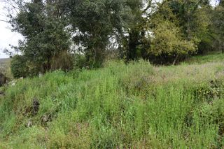 Οικόπεδο 4.300 τ.μ. προς πώληση, Ηλιόκαλη-thumb-8