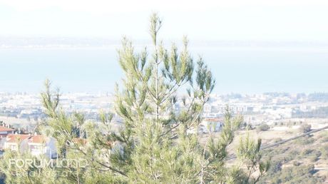 Μεζονέτα 300τ.μ. για πώληση-Πανόραμα » Κέντρο