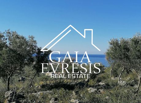 Οικόπεδο 4.053 τ.μ. για πώληση