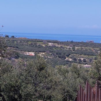 Αγροτεμάχια 1.500 τ.μ. για πώληση