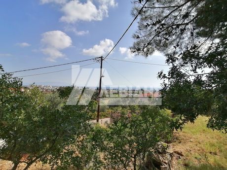 Land plot 477sqm for sale-Chios » Chios Town