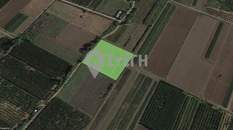Parcel 8.000sqm for sale-Anthemia » Monospita