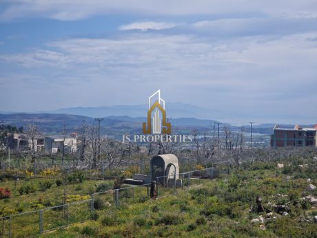 Βίλλα 490τ.μ. για πώληση-Αφίδνες » Αγία τριάδα